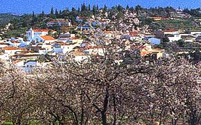 Albufeira municipality