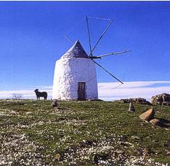 Traditional architecture