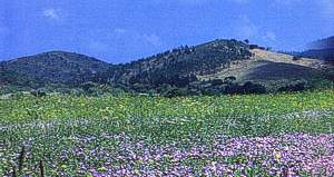 Aljezur, Algarve, Portugal