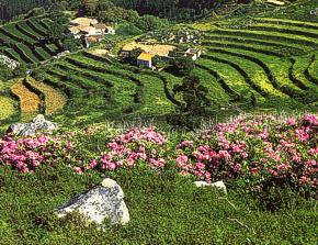 Monchique, Algarve, Portugal