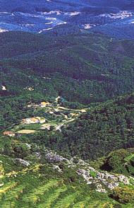 Monchique countryside