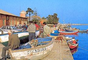 Olhão, Algarve, Portugal