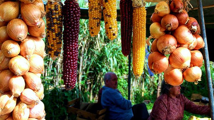 Almoçageme market in Sintra